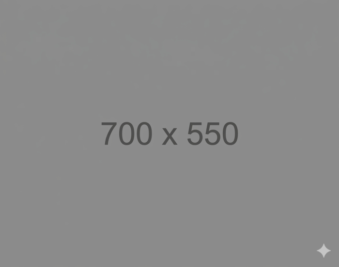 {{PLACEHOLDER_IMAGE}}